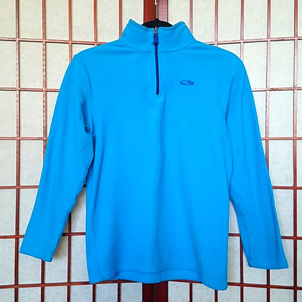 Champion Light blue quarter-zip fleece pullover sweatshirt. Kid's size L. - Picture 1 of 4